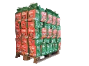 sac.webp